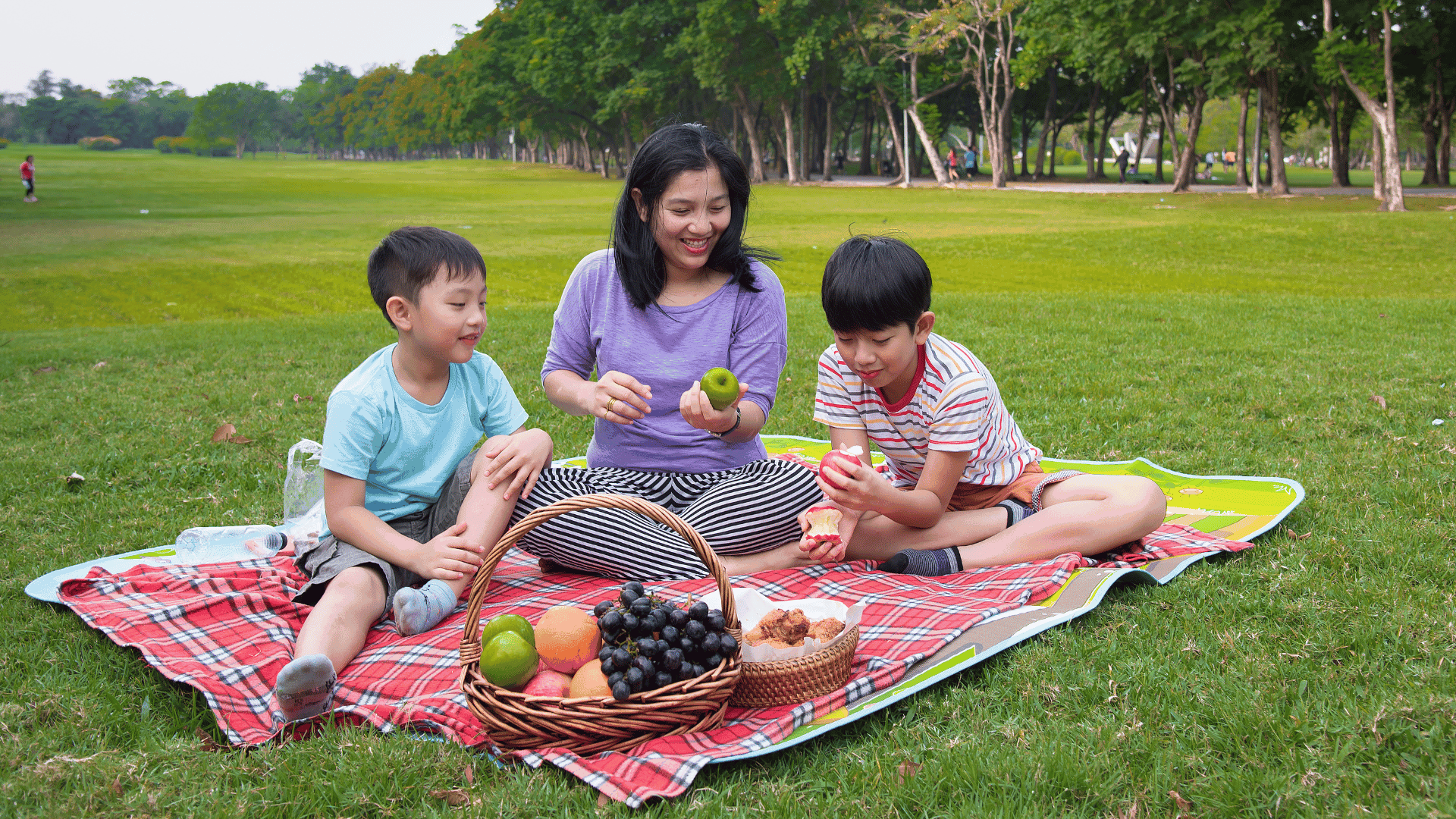 Asian picnic