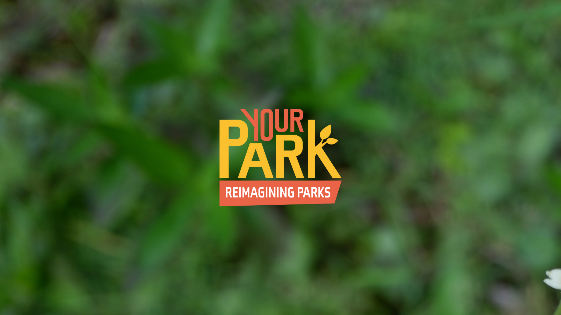 Reimaginging parks