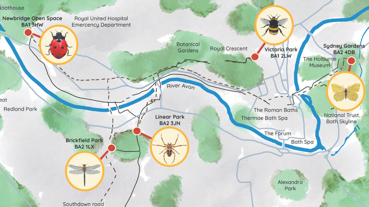 Nature trail map