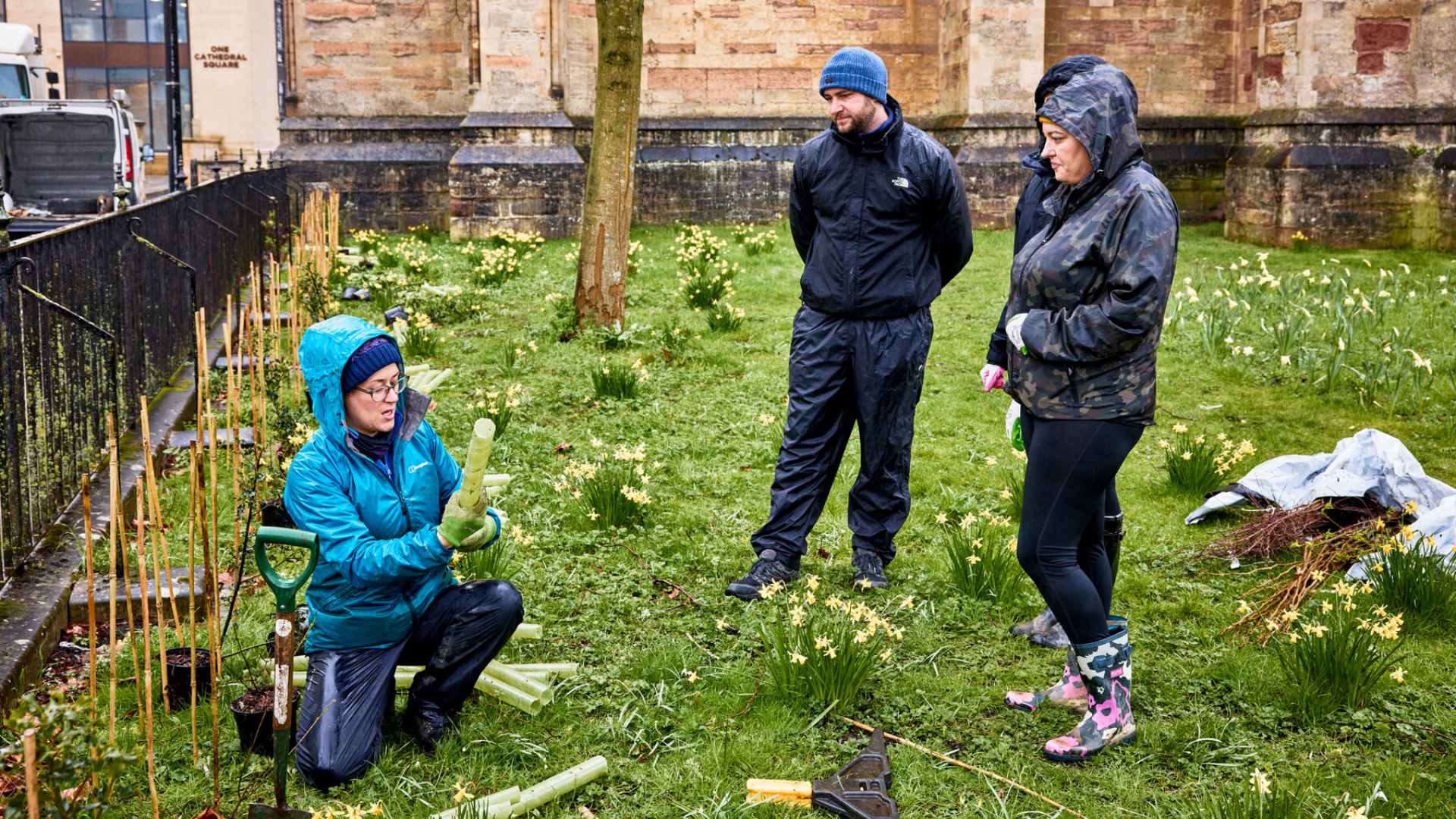 College Green tree planting 3