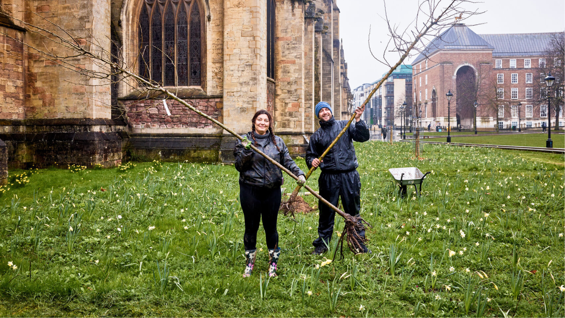 College Green tree planting