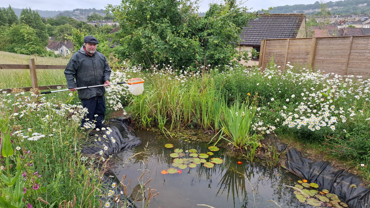 Brickfields pond