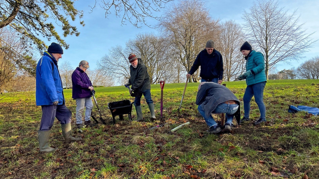 Bulb planting