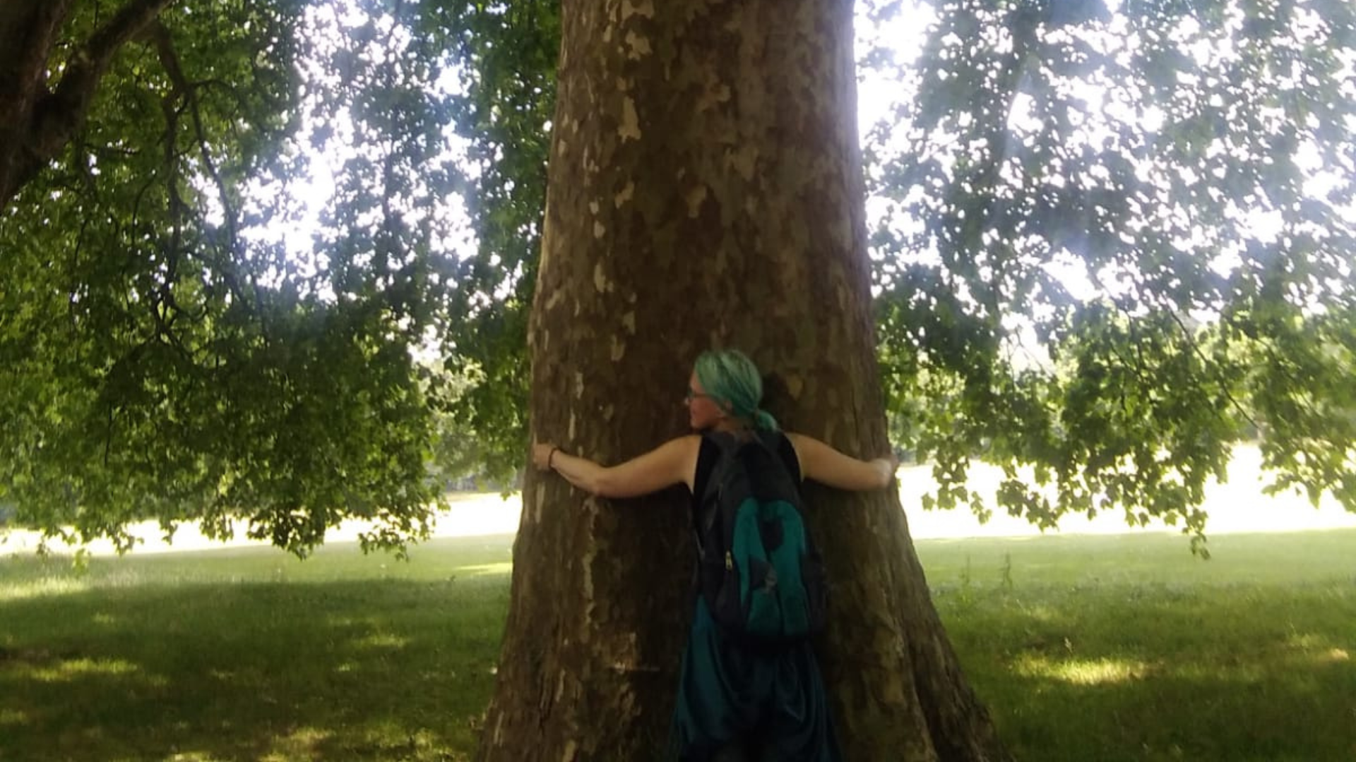 Tree hugging
