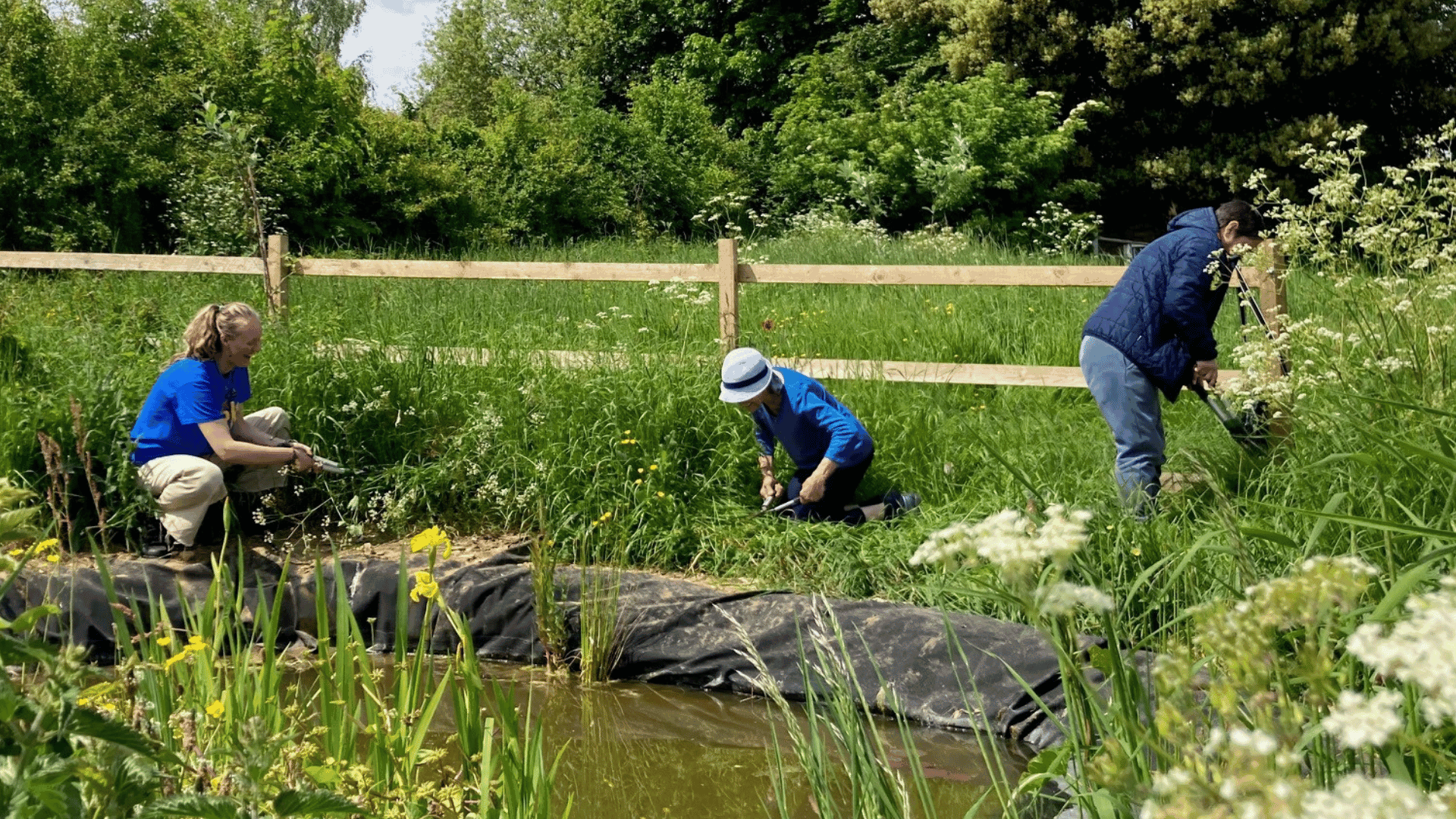 Brickfields pond